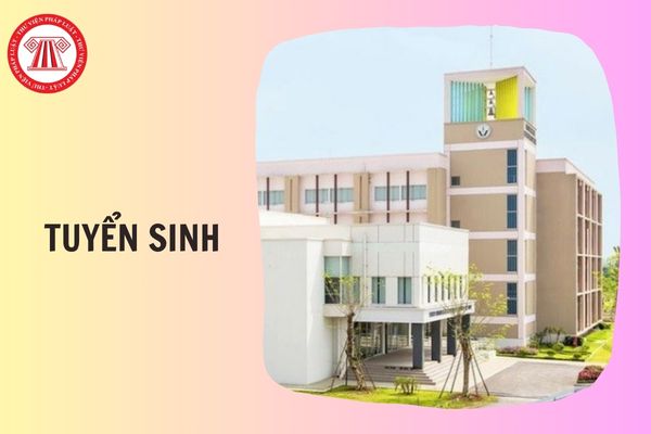 Hỏi đáp Pháp luật