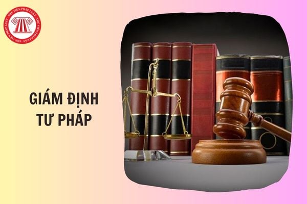 Hỏi đáp Pháp luật