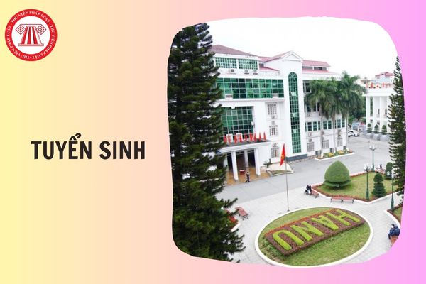 Hỏi đáp Pháp luật