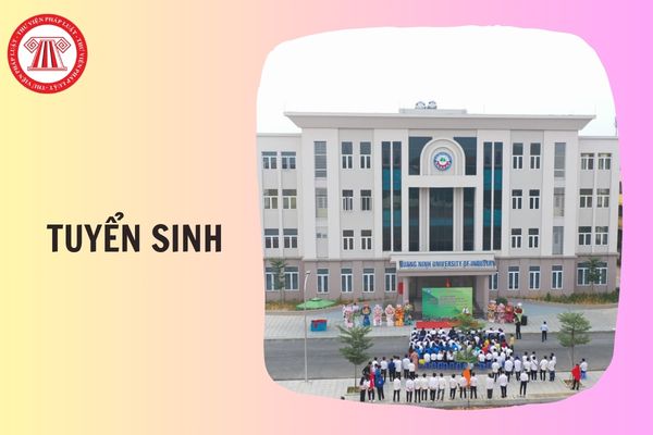 Hỏi đáp Pháp luật