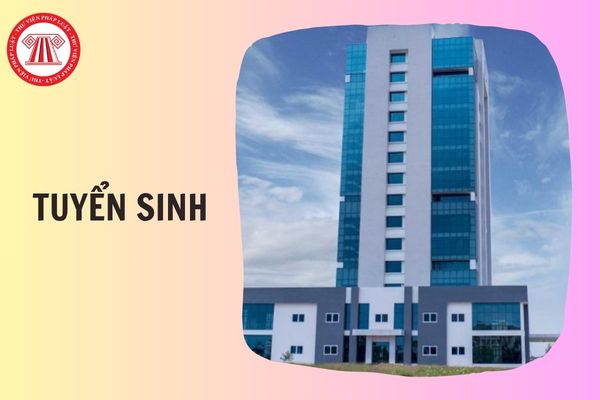Hỏi đáp Pháp luật