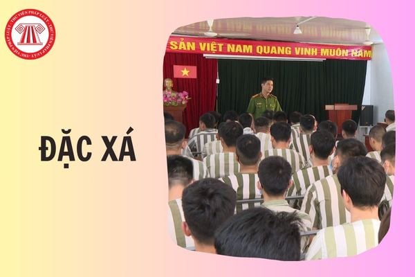 Hỏi đáp Pháp luật