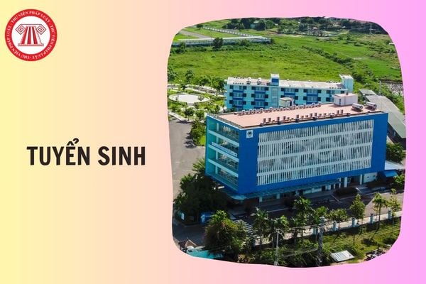 Hỏi đáp Pháp luật