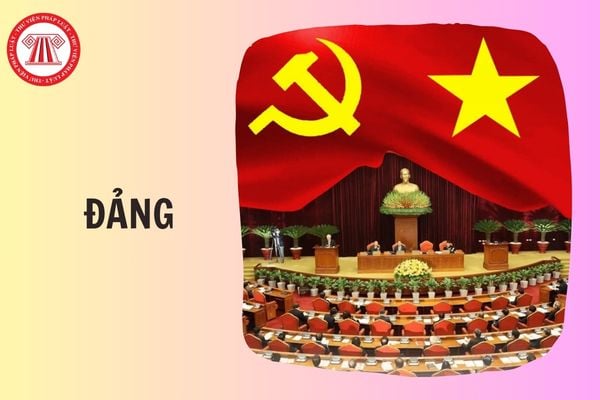 Hỏi đáp Pháp luật