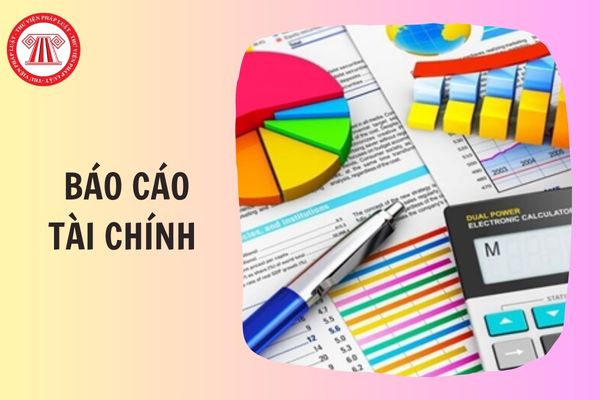 Thuyết minh Báo cáo tài chính nhà nước được lập để làm gì?