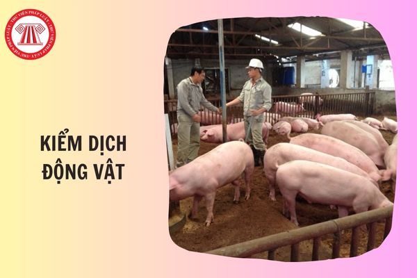 TOÀN VĂN Thông tư 01/2026/TT-BNNMT quy định kiểm dịch động vật, sản phẩm động vật trên cạn ra sao?