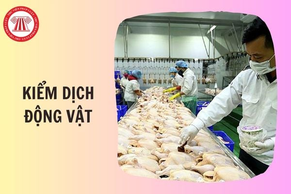 Mẫu đơn đăng ký kiểm dịch động vật vận chuyển ra khỏi địa bàn cấp tỉnh chi tiết ra sao?