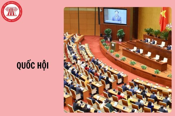 Hỏi đáp Pháp luật