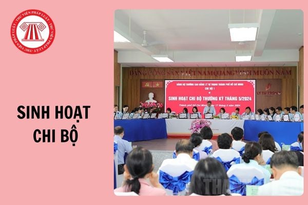 Hỏi đáp Pháp luật