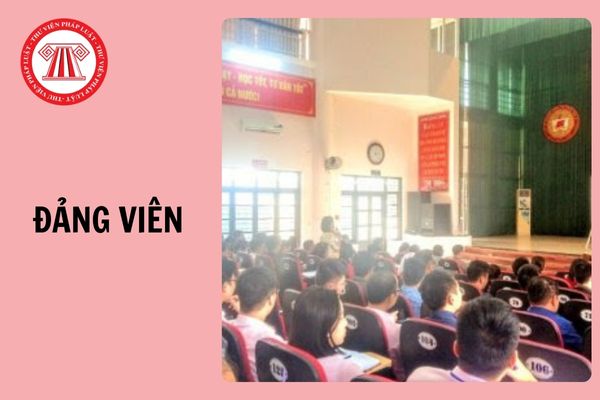 Hỏi đáp Pháp luật