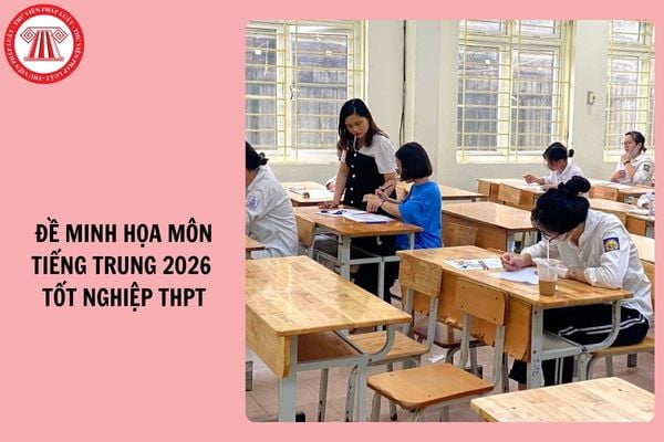 Hỏi đáp Pháp luật