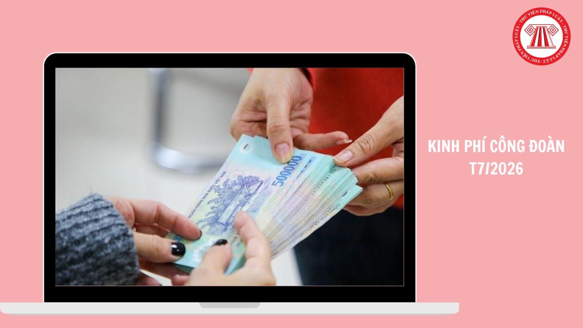 Hỏi đáp Pháp luật