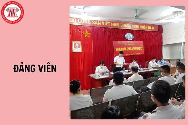 Hỏi đáp Pháp luật