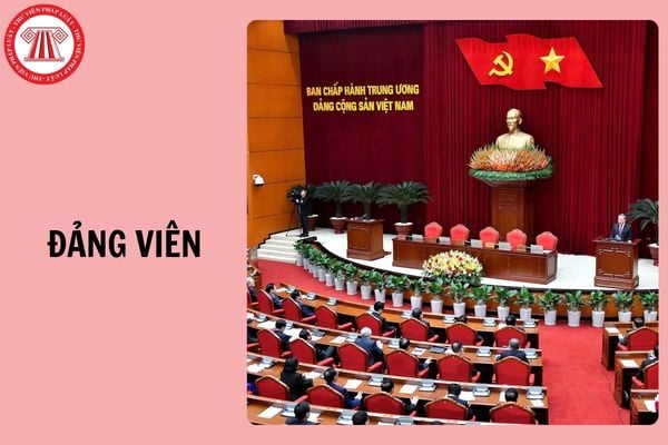 Hỏi đáp Pháp luật