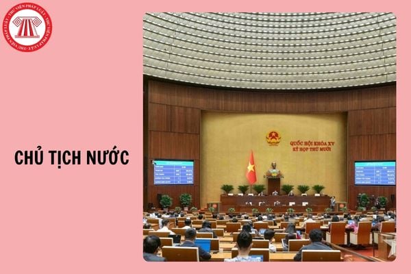 Hỏi đáp Pháp luật