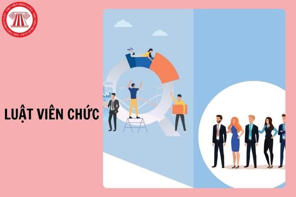 Hỏi đáp Pháp luật