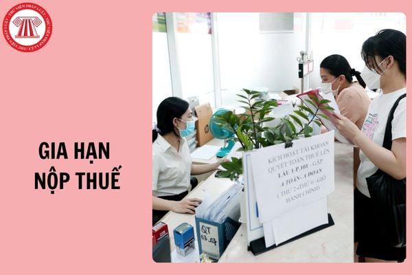 Hỏi đáp Pháp luật