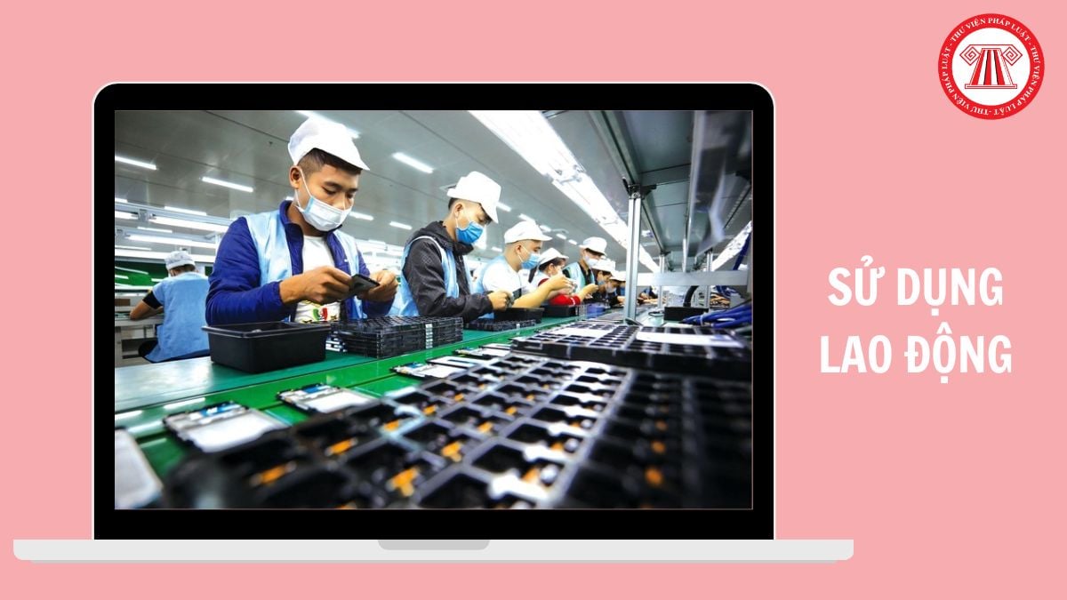File excel mẫu 01/PLI Báo cáo tình hình sử dụng lao động 6 tháng đầu năm mới nhất 2026 thế nào?