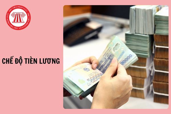 Hỏi đáp Pháp luật
