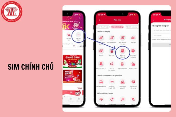 Hỏi đáp Pháp luật