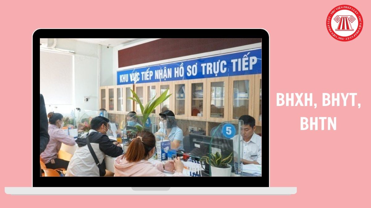 Hỏi đáp Pháp luật