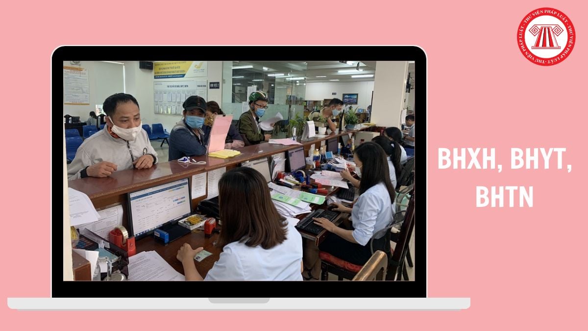 Hỏi đáp Pháp luật