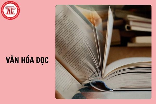 Mẫu văn hóa đọc 2026: Viết đoạn văn tôn vinh các tác phẩm văn học, lịch sử và tài liệu địa chỉ nhằm khơi dậy lòng tự hào dân tộc, nâng cao ý thức giữ gìn sự trong sáng của Tiếng Việt và bảo tồn văn hóa vùng miền; qua đó khẳng định và lan tỏa các giá trị truyền thống tốt đẹp của đất nước và con người Việt Nam?