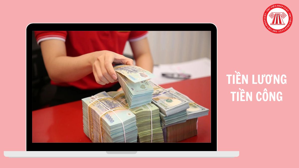 Hỏi đáp Pháp luật