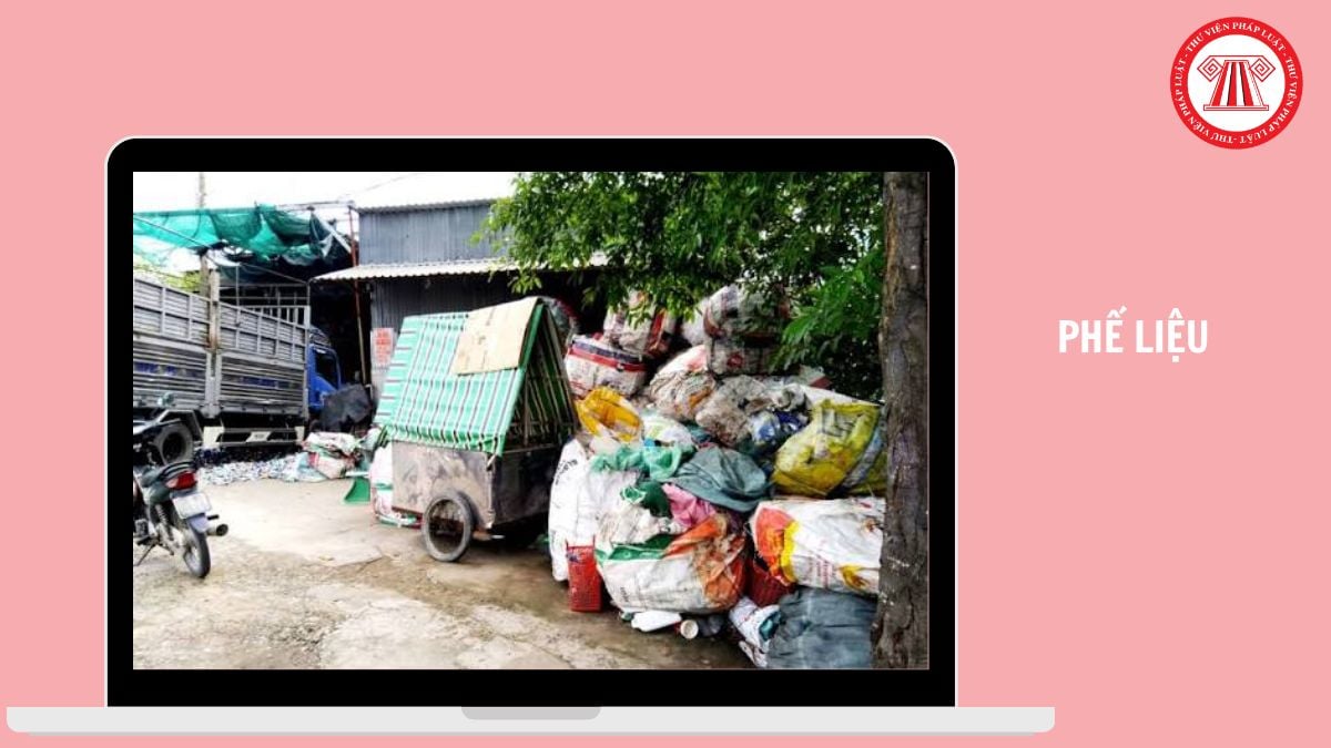 Hỏi đáp Pháp luật