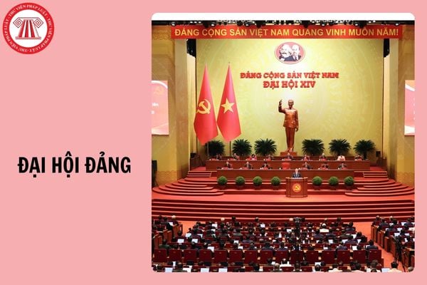 Hỏi đáp Pháp luật