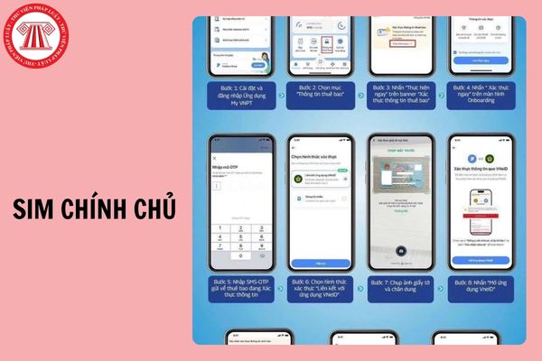 Hỏi đáp Pháp luật