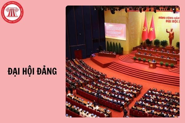 Hỏi đáp Pháp luật