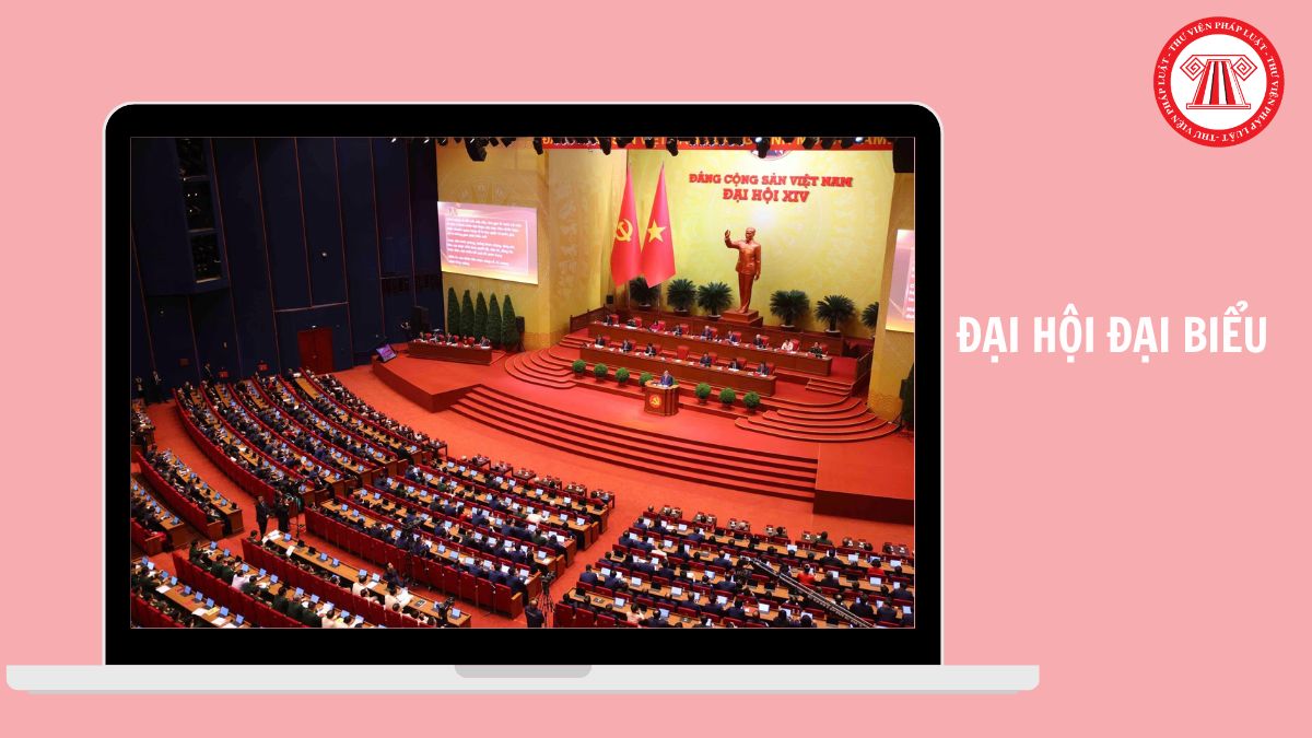 Hỏi đáp Pháp luật