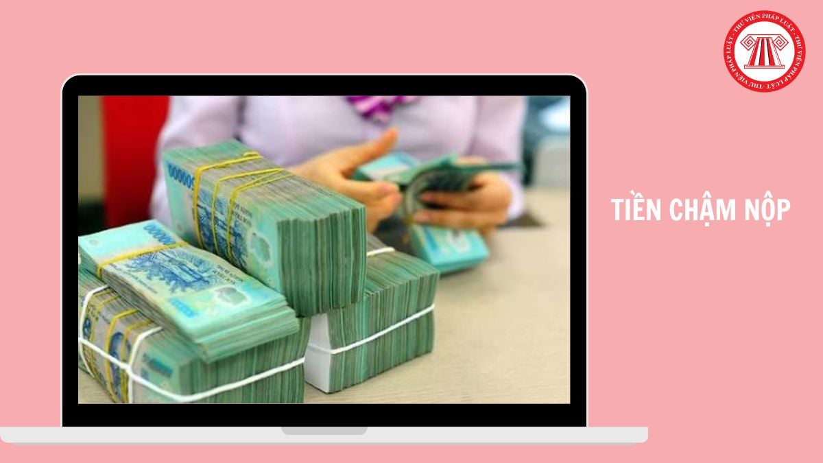 Hỏi đáp Pháp luật