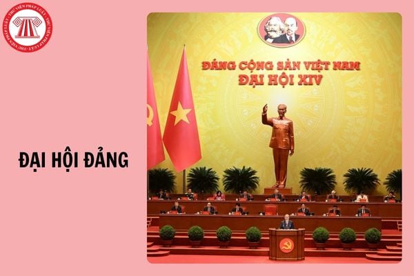 Hỏi đáp Pháp luật