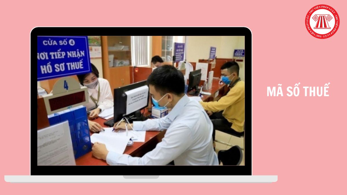 Hỏi đáp Pháp luật