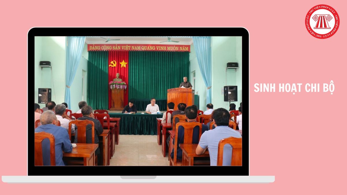 Hỏi đáp Pháp luật
