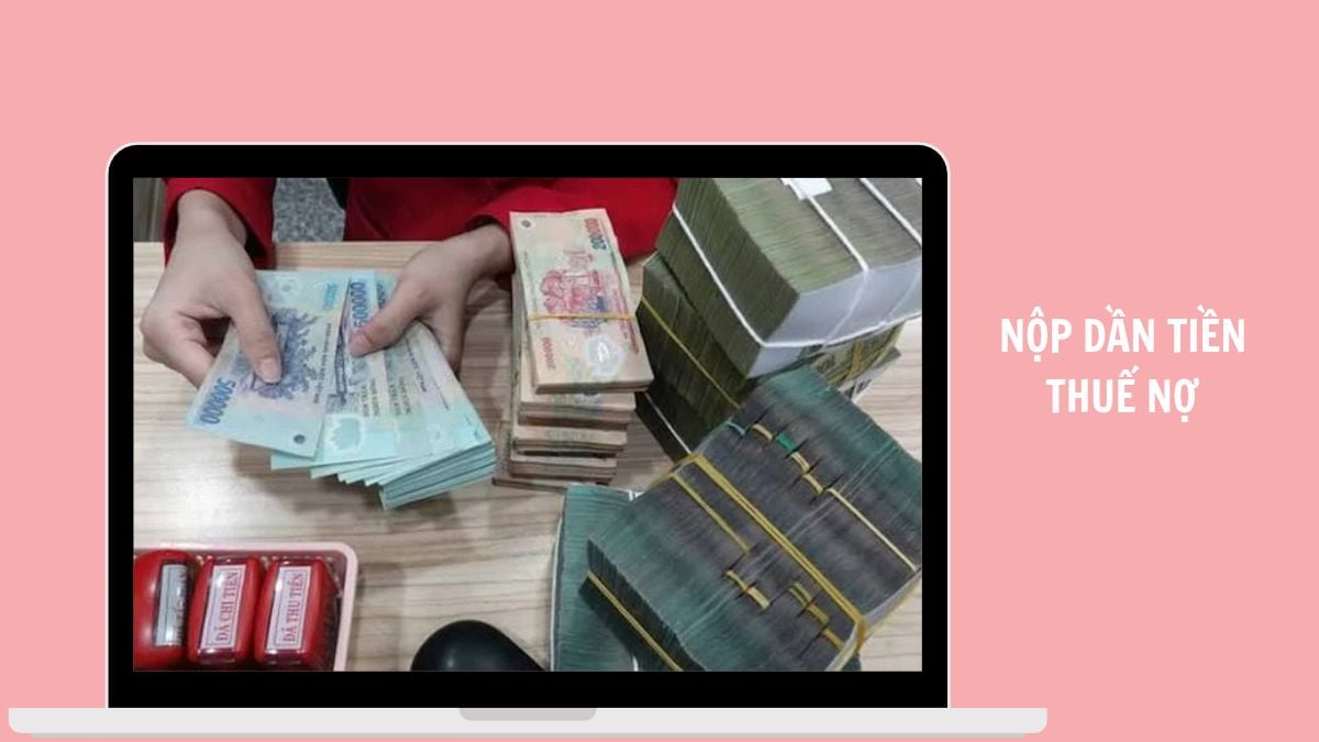 Hỏi đáp Pháp luật