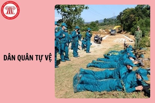 Hỏi đáp Pháp luật