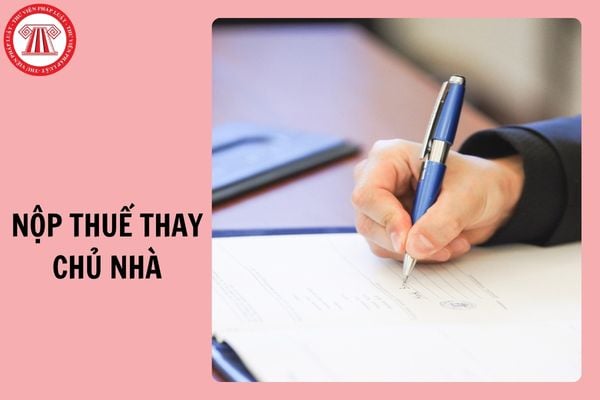 Hỏi đáp Pháp luật