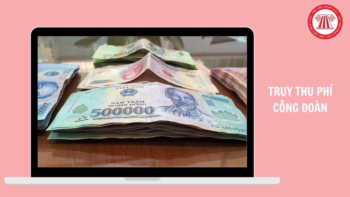 Hỏi đáp Pháp luật