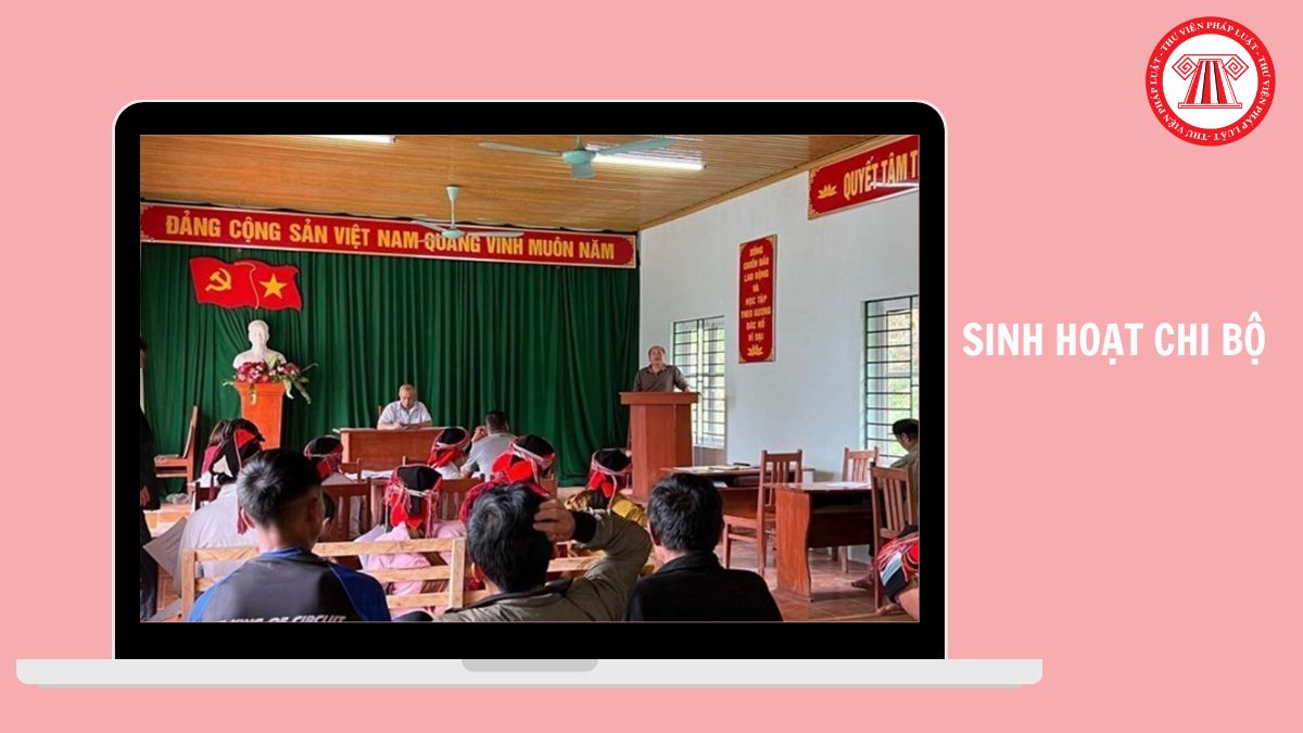 Hỏi đáp Pháp luật