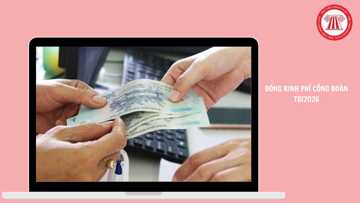 Hỏi đáp Pháp luật