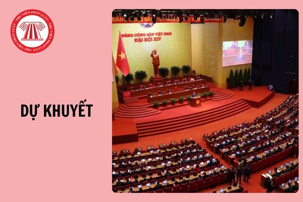 Hỏi đáp Pháp luật