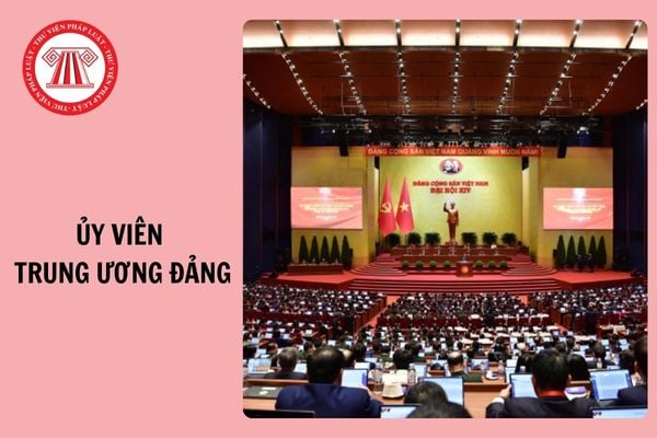 Ủy viên Trung ương Đảng là gì, được hiểu thế nào?