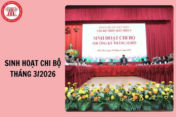 Hỏi đáp Pháp luật