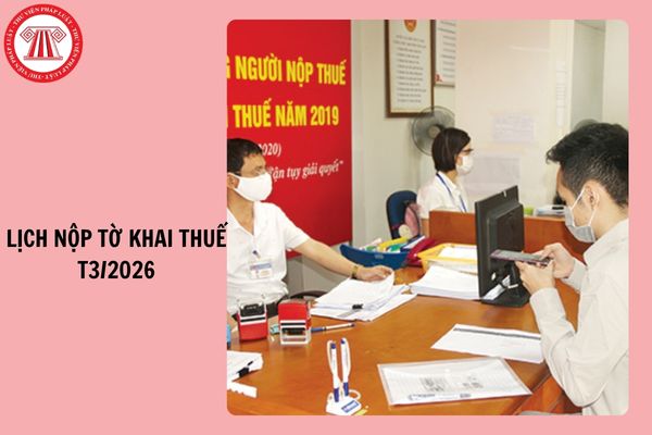 Hỏi đáp Pháp luật
