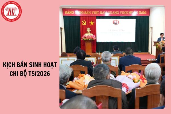 Hỏi đáp Pháp luật