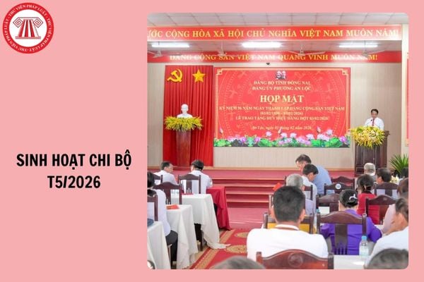 Hỏi đáp Pháp luật