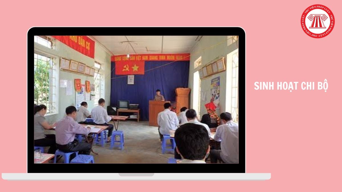 Hỏi đáp Pháp luật